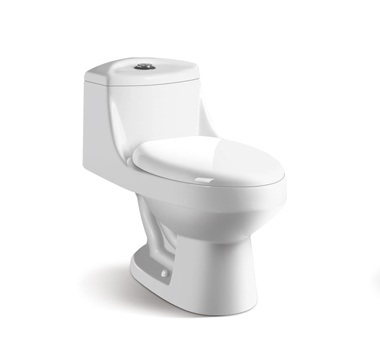 SANITARIO 1 PZA  ZBW